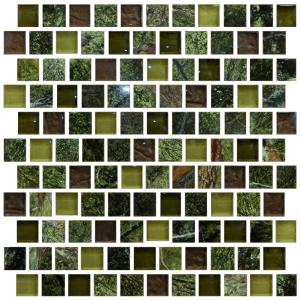 Imagination 1 x 1 Offset Design Wild Forest