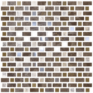 Imagination Combo Fossil Canyon