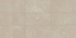 Elegant Beige