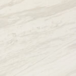 Timeless White
